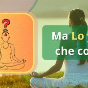 Le vie dello Yoga – Ma Lo yoga che cos’è Yoga definizione, Significato dello yoga, Concetto di yoga, Pratica dello yoga, Benefici dello yoga, Storia dello yoga