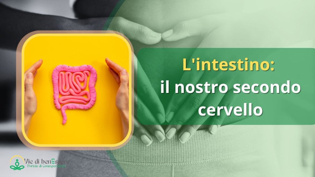 intestino, secondo cervello, yoga, microbiota intestinale, stress, digestione, serotonina, sistema nervoso enterico